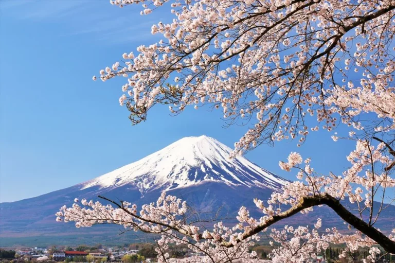 https://notipostingt.com/2022/04/26/los-mejores-destinos-turisticos-de-japon/